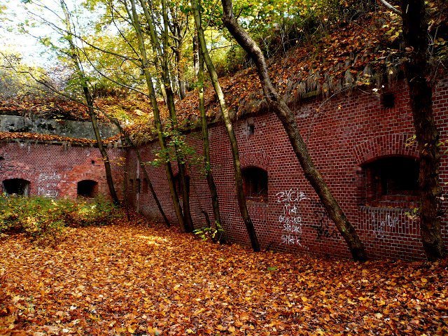 photo2.jpg