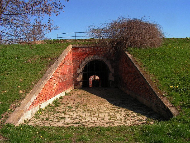 photo5.jpg