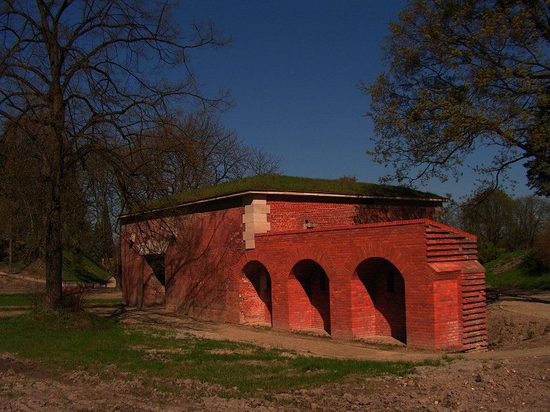 photo7.jpg