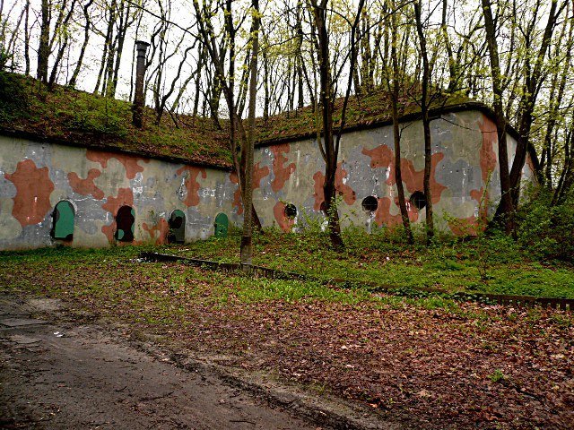 photo3.jpg