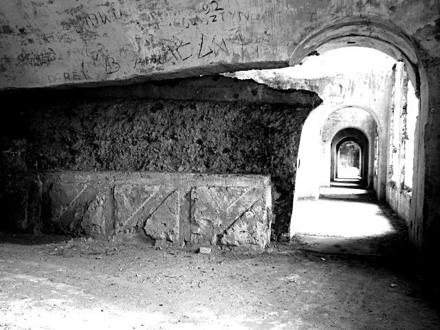 photo11.jpg