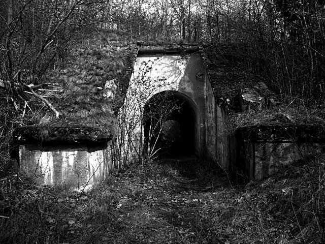 photo14.jpg