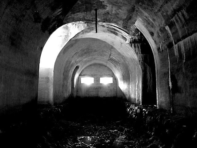 photo8.jpg