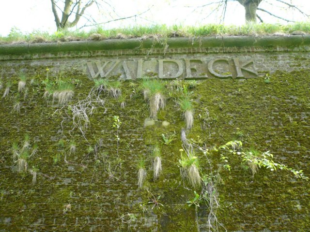 photo8.jpg