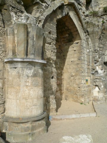 photo6.jpg
