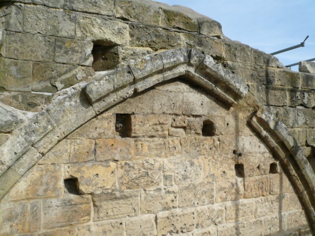 photo8.jpg