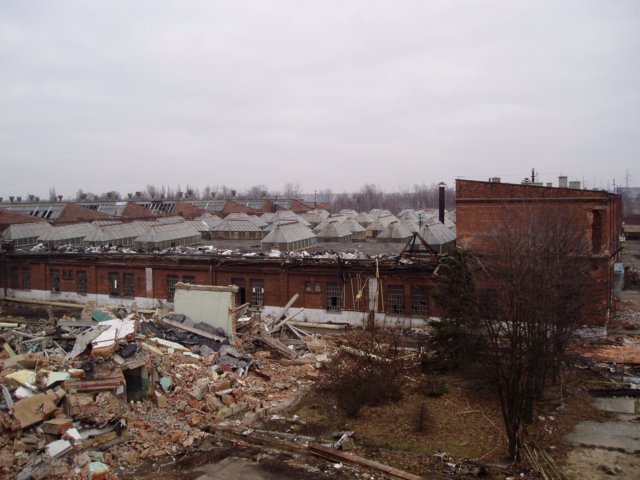 photo37.jpg