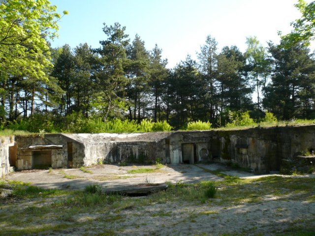 photo.jpg