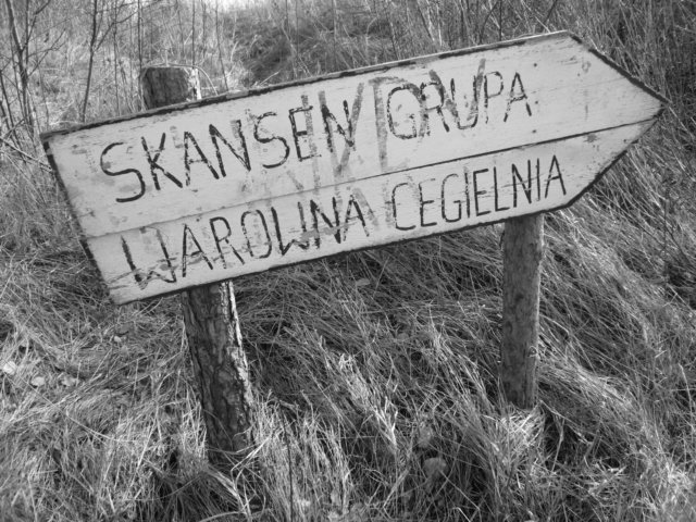 photo.jpg