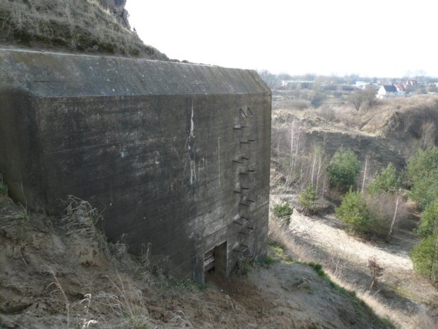 photo3.jpg