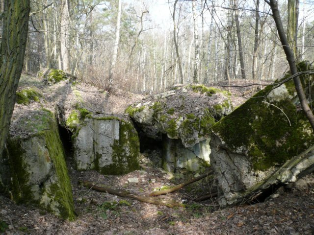 photo2.jpg