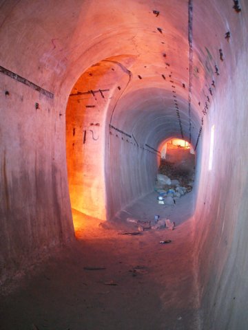 photo10.jpg