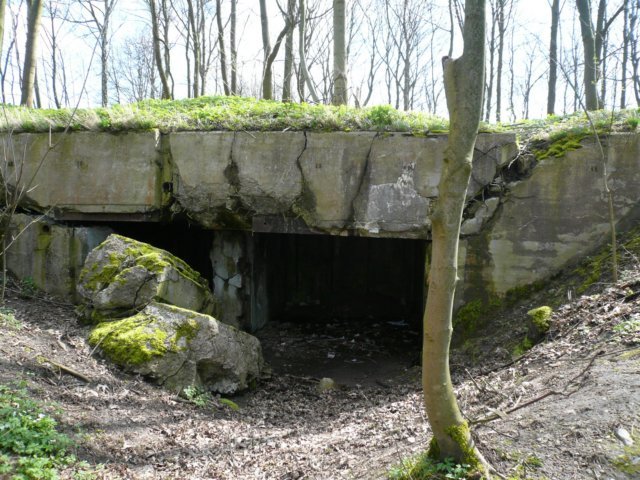 photo3.jpg