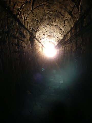 photo5.jpg
