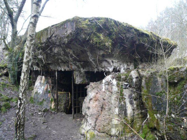 photo7.jpg