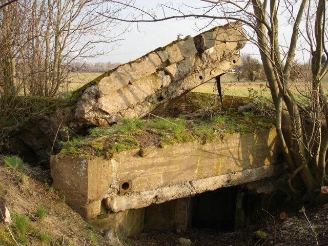 photo6.jpg