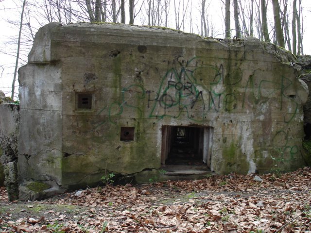 photo8.jpg