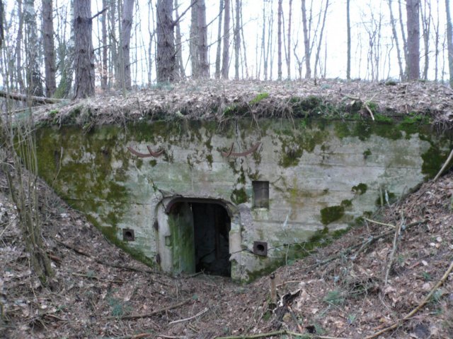 photo6.jpg