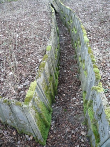 photo8.jpg