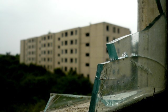 photo8.jpg