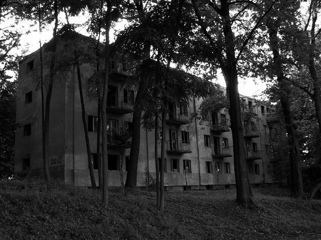 photo2.jpg