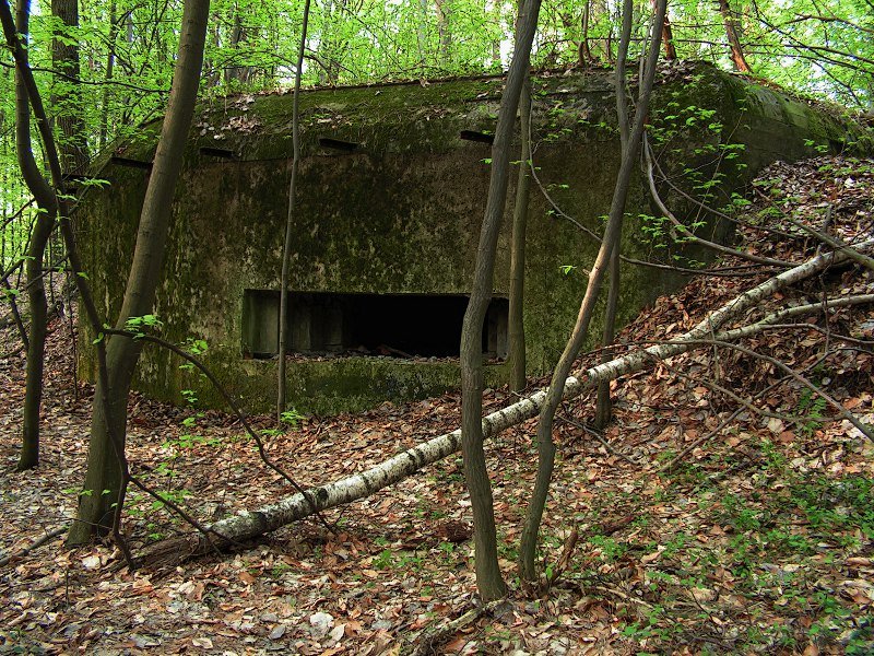 photo11.jpg