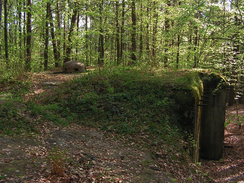 photo4.jpg