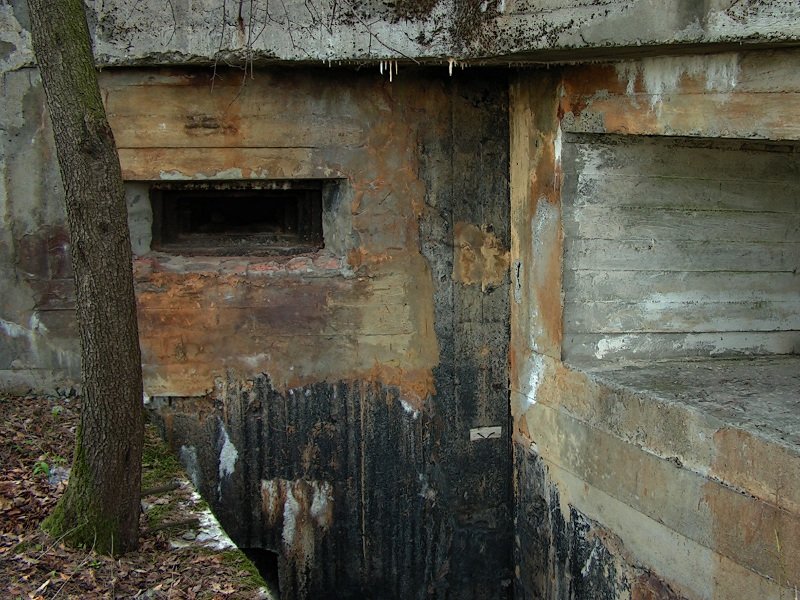 photo6.jpg