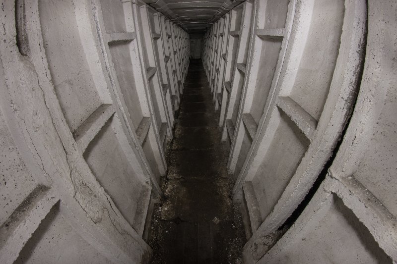 photo8.jpg