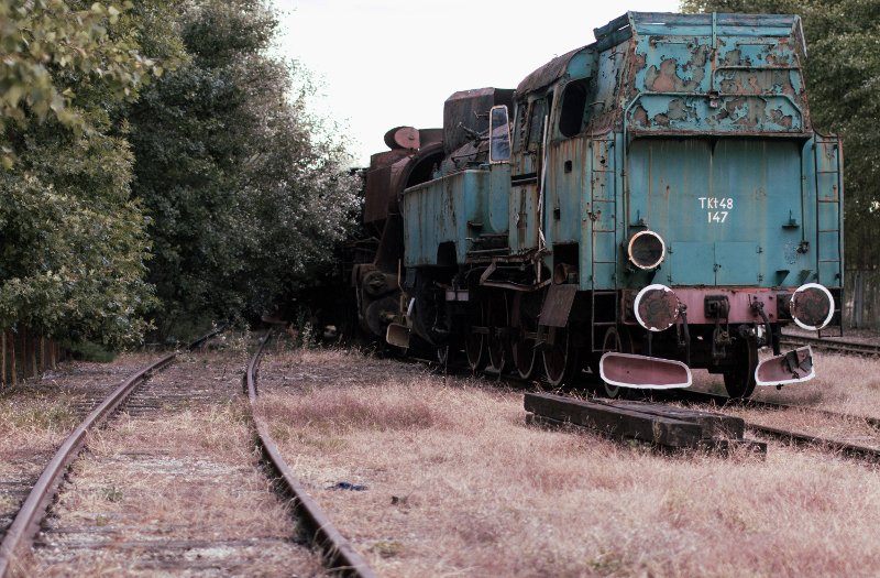 photo8.jpg