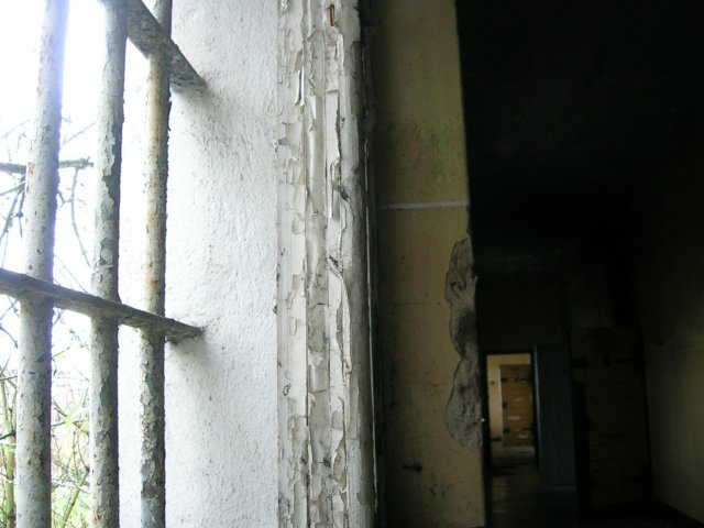 photo22.jpg