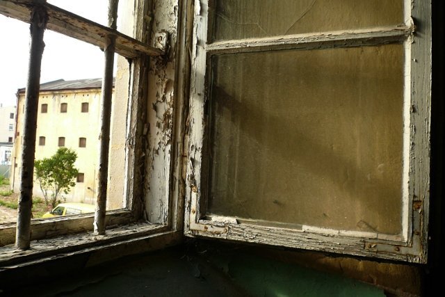 photo11.jpg