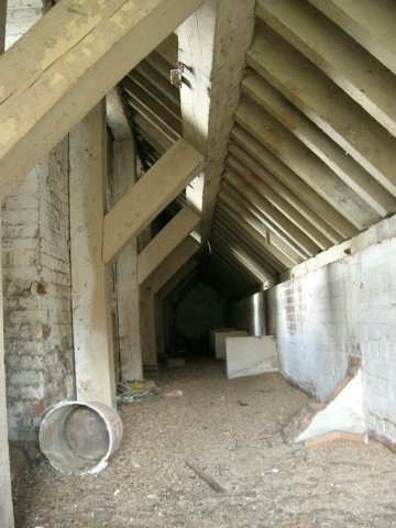 photo3.jpg