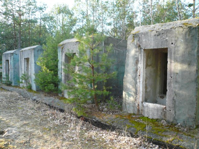 photo4.jpg