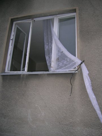 photo11.jpg