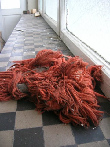 photo15.jpg