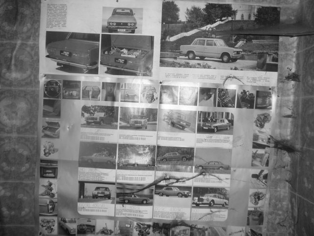 photo6.jpg