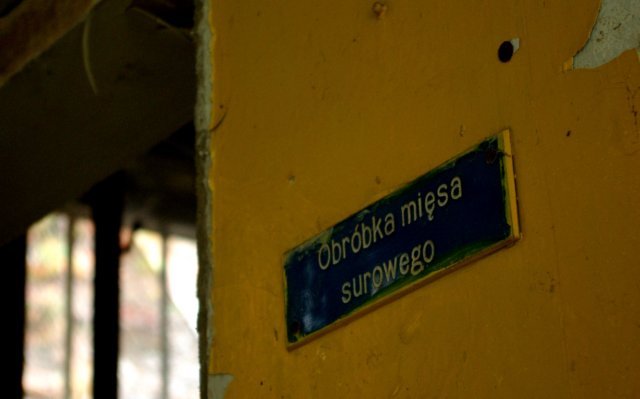 photo7.jpg