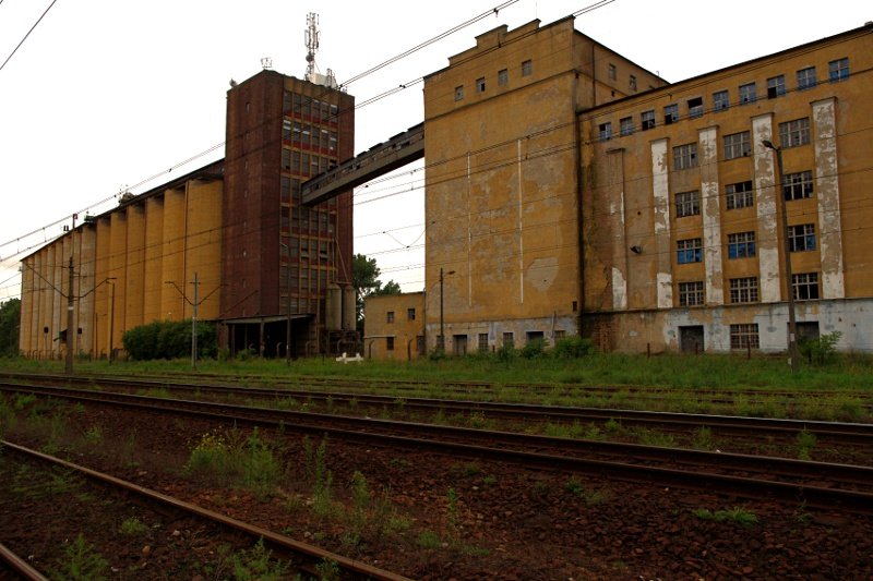 photo2.jpg