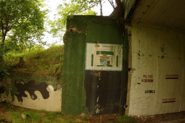 photo5.jpg