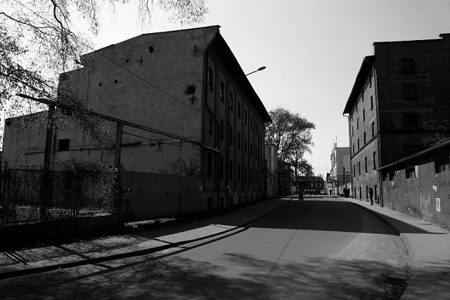 photo.jpg