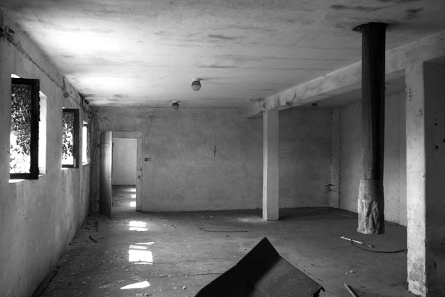 photo7.jpg