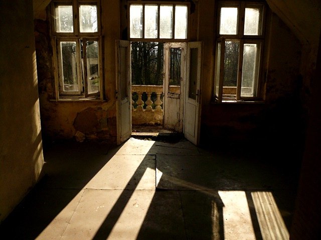 photo11.jpg