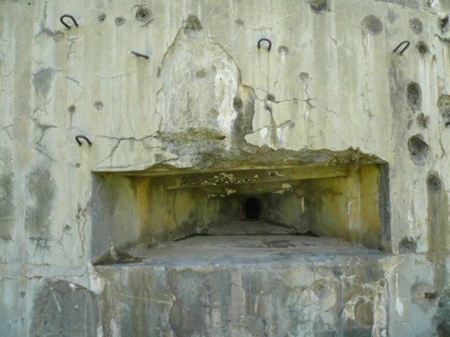 photo4.jpg