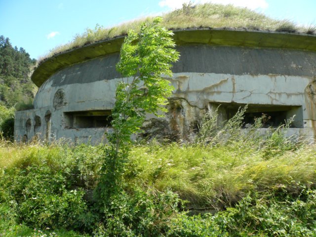 photo9.jpg