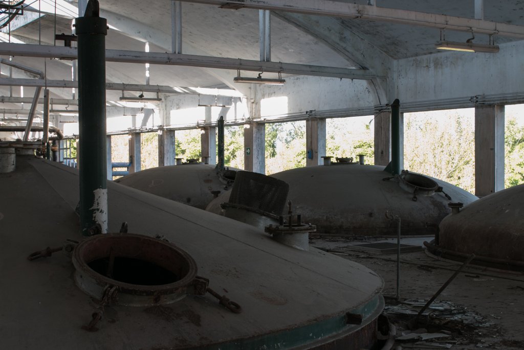 photo4.jpg