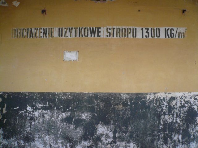 photo11.jpg