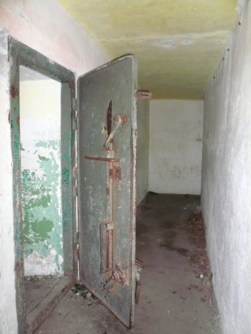 photo11.jpg