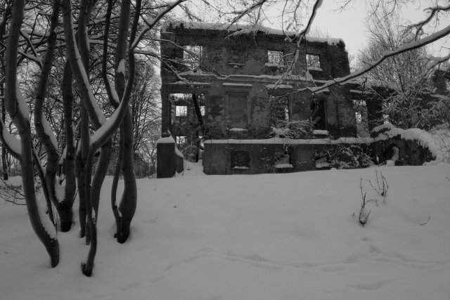 photo4.jpg