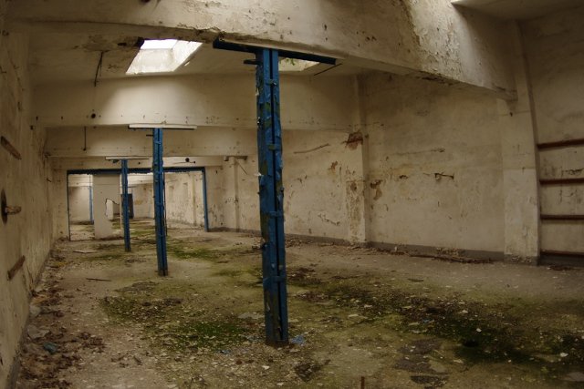 photo6.jpg